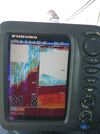 松本釣船２ 釣果