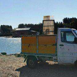 みどりフィッシングエリア 釣果