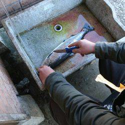 みどりフィッシングエリア 釣果