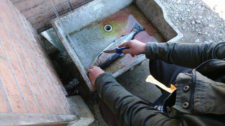 みどりフィッシングエリア 釣果