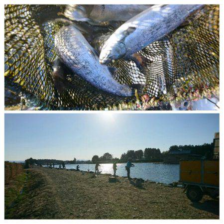 みどりフィッシングエリア 釣果