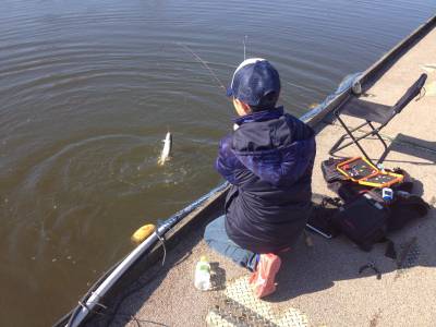 吉羽園 釣果