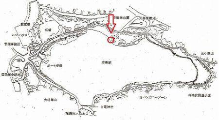 志高湖フィッシング 釣果