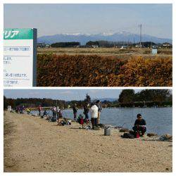 みどりフィッシングエリア 釣果