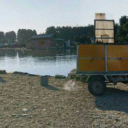 みどりフィッシングエリア 釣果