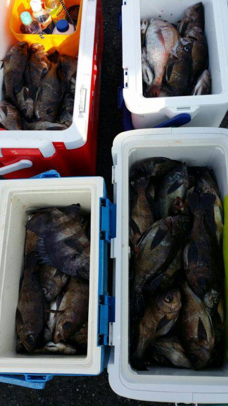 オーフリー 釣果