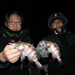 フルコンタクト 釣果