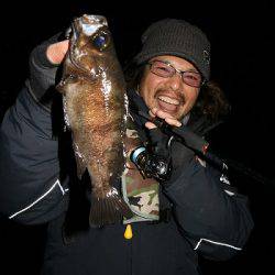 フルコンタクト 釣果