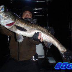 オーシャンマスター 釣果