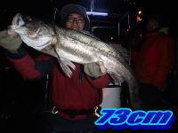 オーシャンマスター 釣果