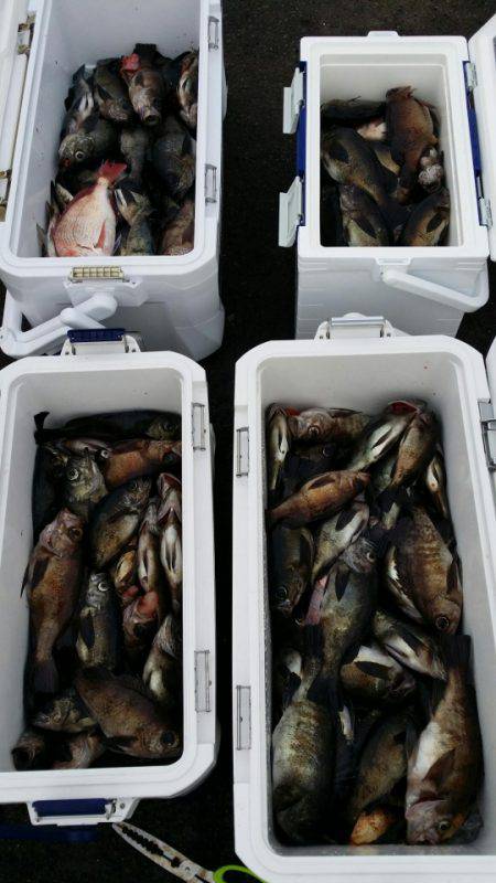 オーフリー 釣果