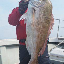 飛燕さくら丸 釣果