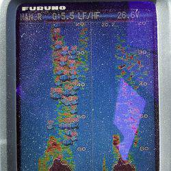 第三むつりょう丸 釣果