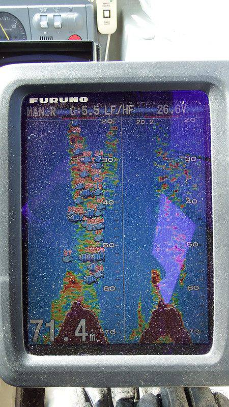 第三むつりょう丸 釣果