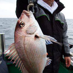 第三むつりょう丸 釣果