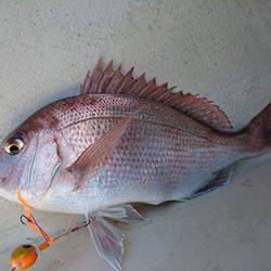 松本釣船2 釣果