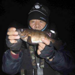 ルアー船マヒマヒ 釣果