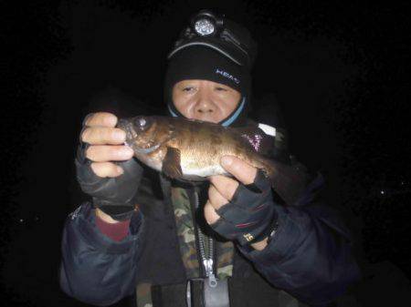 ルアー船マヒマヒ 釣果