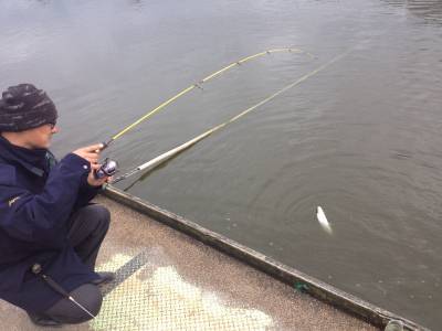 吉羽園 釣果