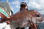 茂吉丸 釣果