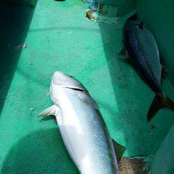 第三むつりょう丸 釣果