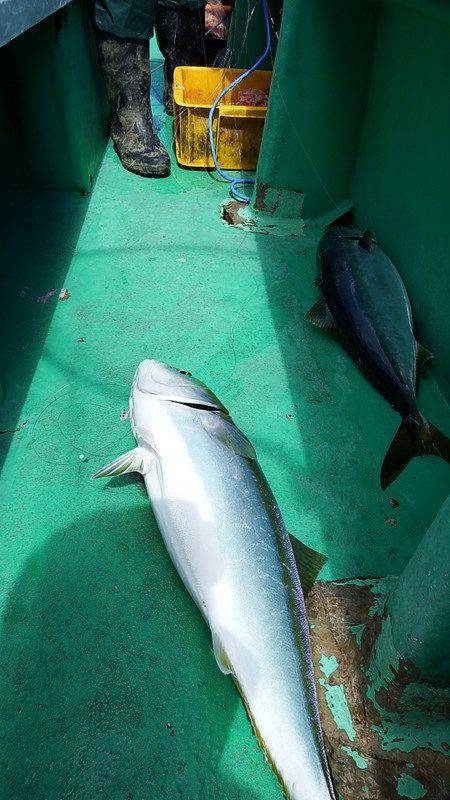 第三むつりょう丸 釣果