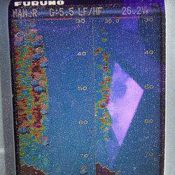 第三むつりょう丸 釣果
