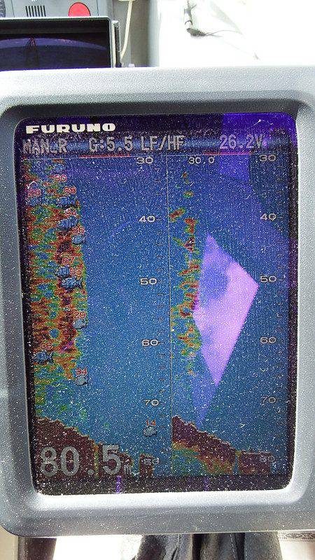 第三むつりょう丸 釣果
