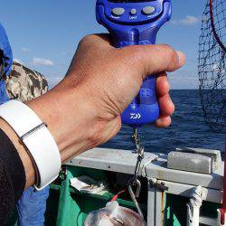 第三むつりょう丸 釣果