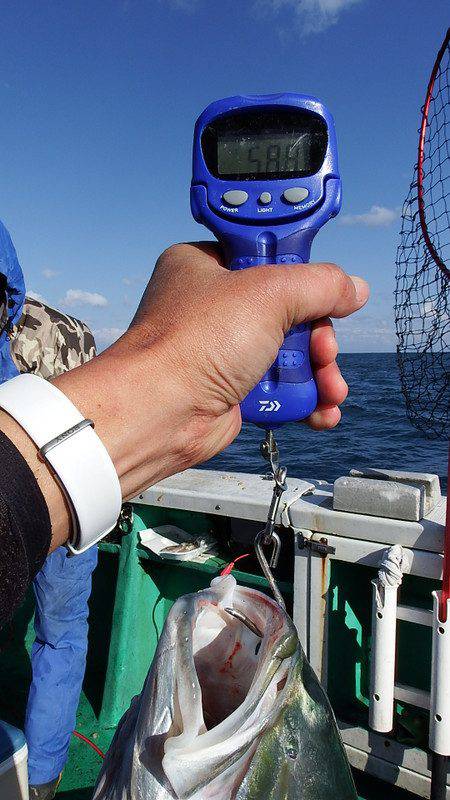 第三むつりょう丸 釣果