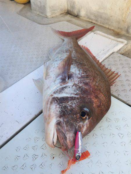 マタウマリンサービス 釣果