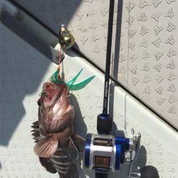 マタウマリンサービス 釣果