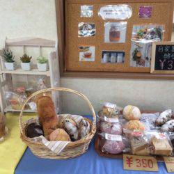 松名瀬フィッシングパーク 釣果