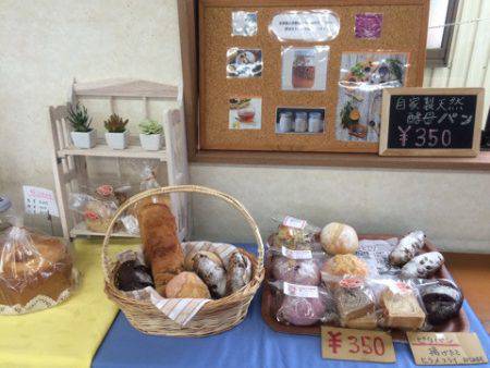 松名瀬フィッシングパーク 釣果