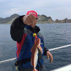 マタウマリンサービス 釣果