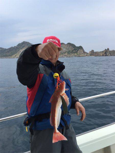 マタウマリンサービス 釣果