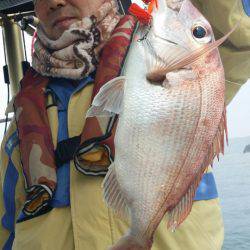 オーフリー 釣果