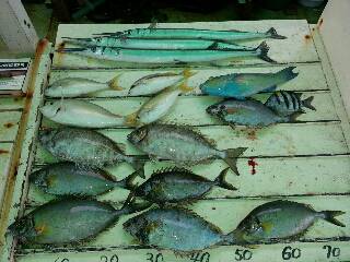 本部釣りイカダ 釣果