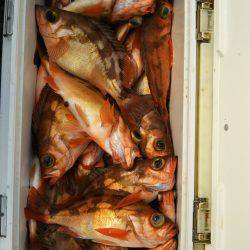 モンロー号 釣果