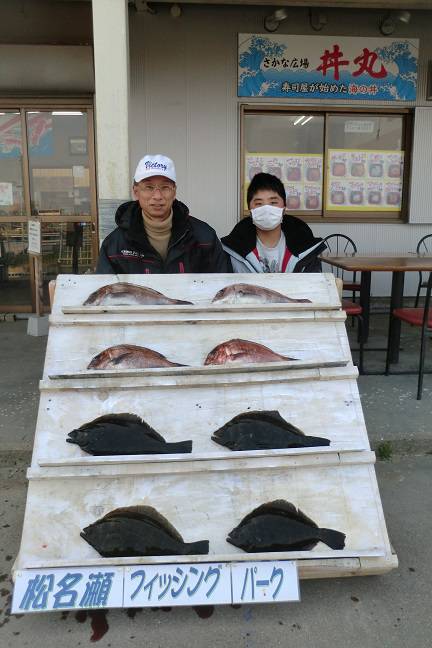 松名瀬フィッシングパーク 釣果