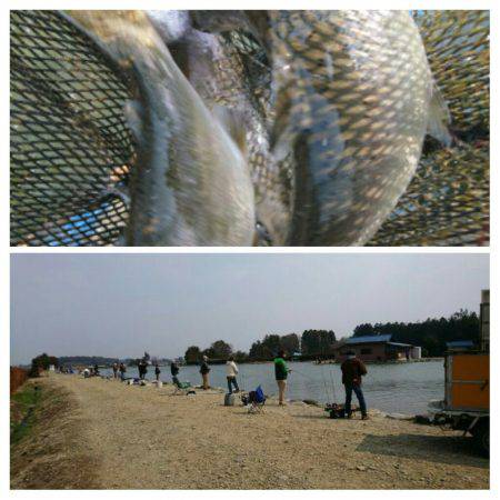 みどりフィッシングエリア 釣果