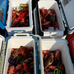 オーフリー 釣果