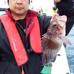 第三むつりょう丸 釣果