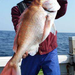 飛燕さくら丸 釣果