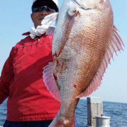 飛燕さくら丸 釣果