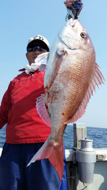 飛燕さくら丸 釣果