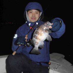 ルアー船マヒマヒ 釣果