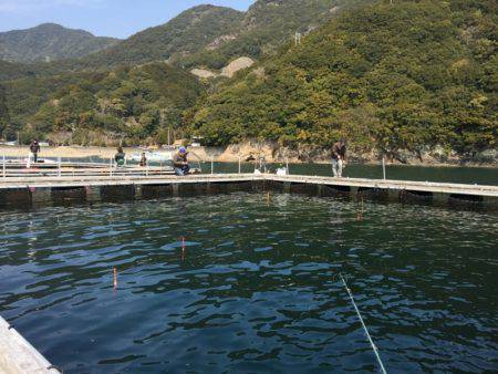 松名瀬フィッシングパーク 釣果