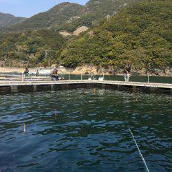 松名瀬フィッシングパーク 釣果