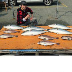 松名瀬フィッシングパーク 釣果